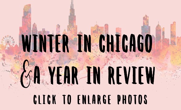 Read more about the article Photography Features – Winter in Chicago & a Year in Review